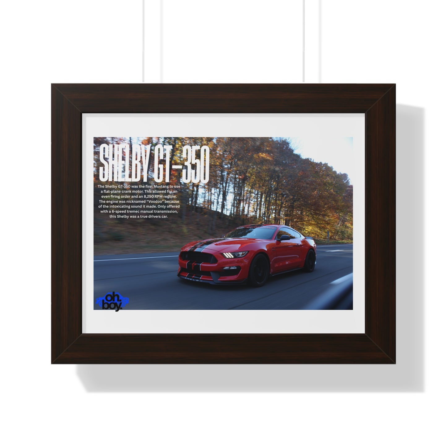 Framed Horizontal Poster