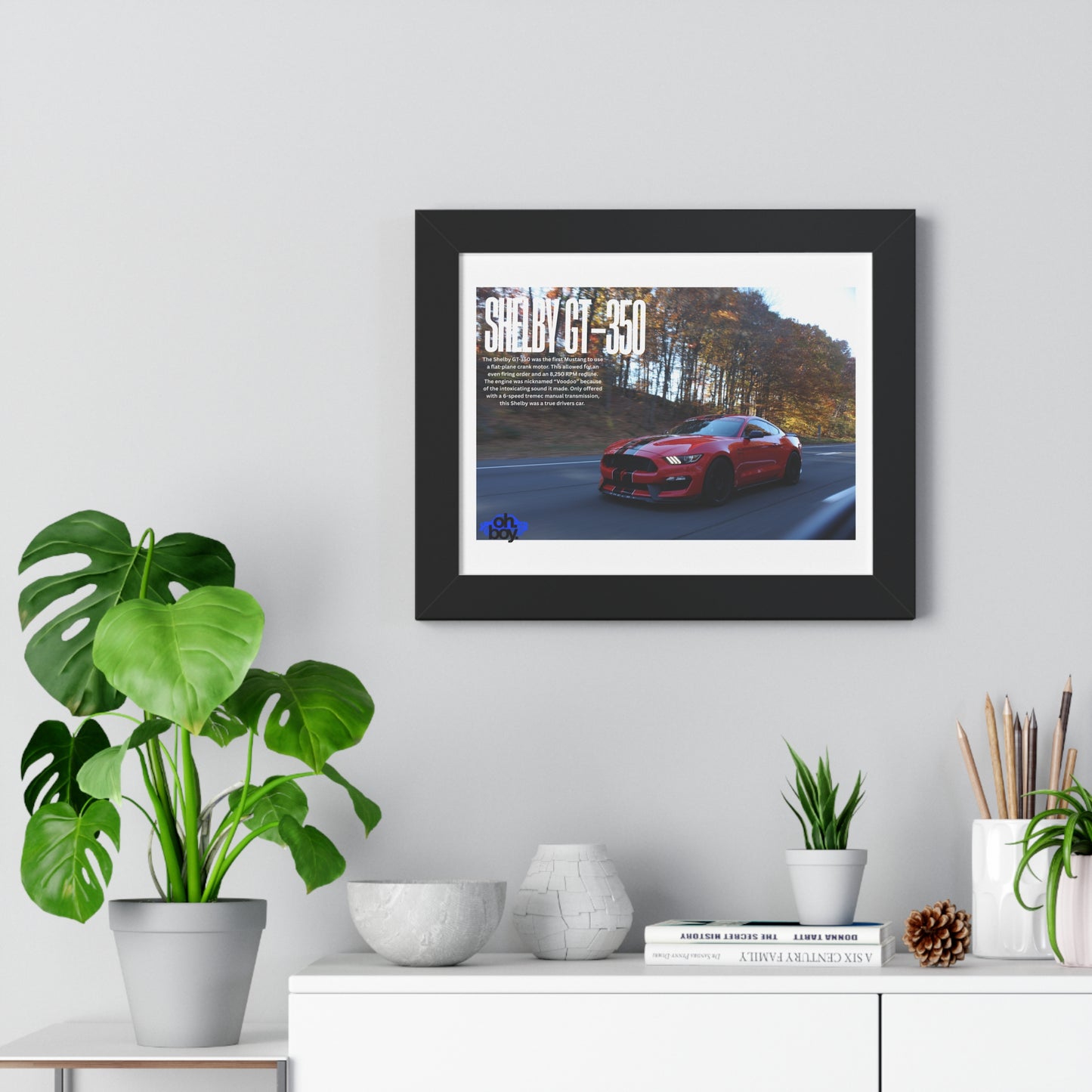Framed Horizontal Poster