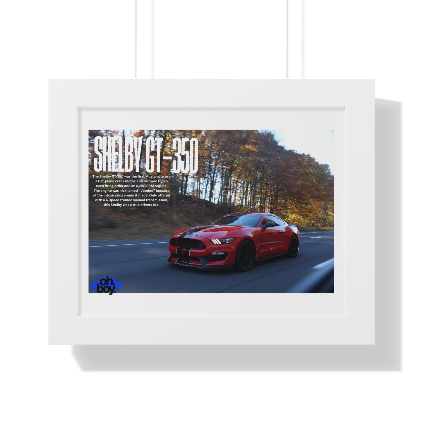 Framed Horizontal Poster