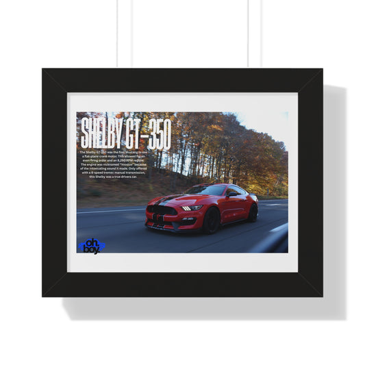 Framed Horizontal Poster
